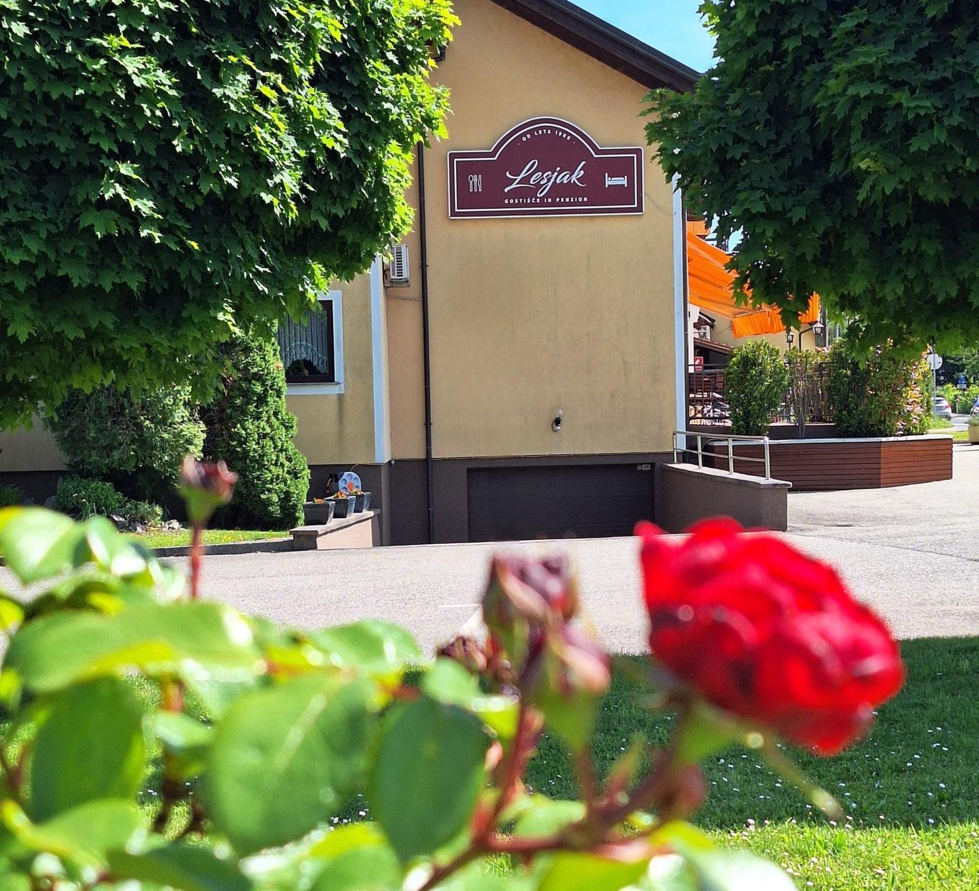 Penzion Gostisce Lesjak Orehova vas Exterior foto